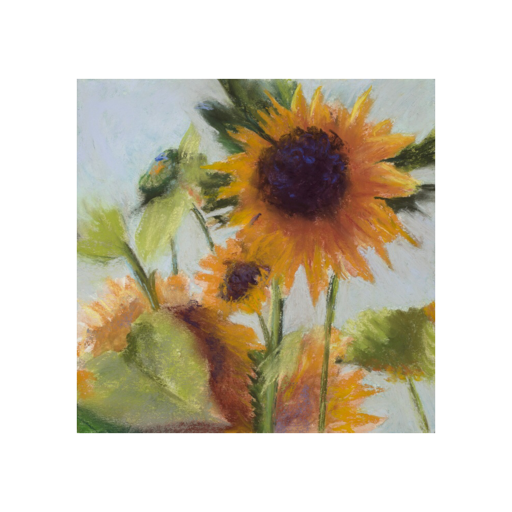 Sunflower Time  by Diane Edwards 