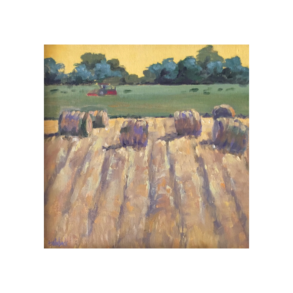Fresh Bales  by Pam Holnback