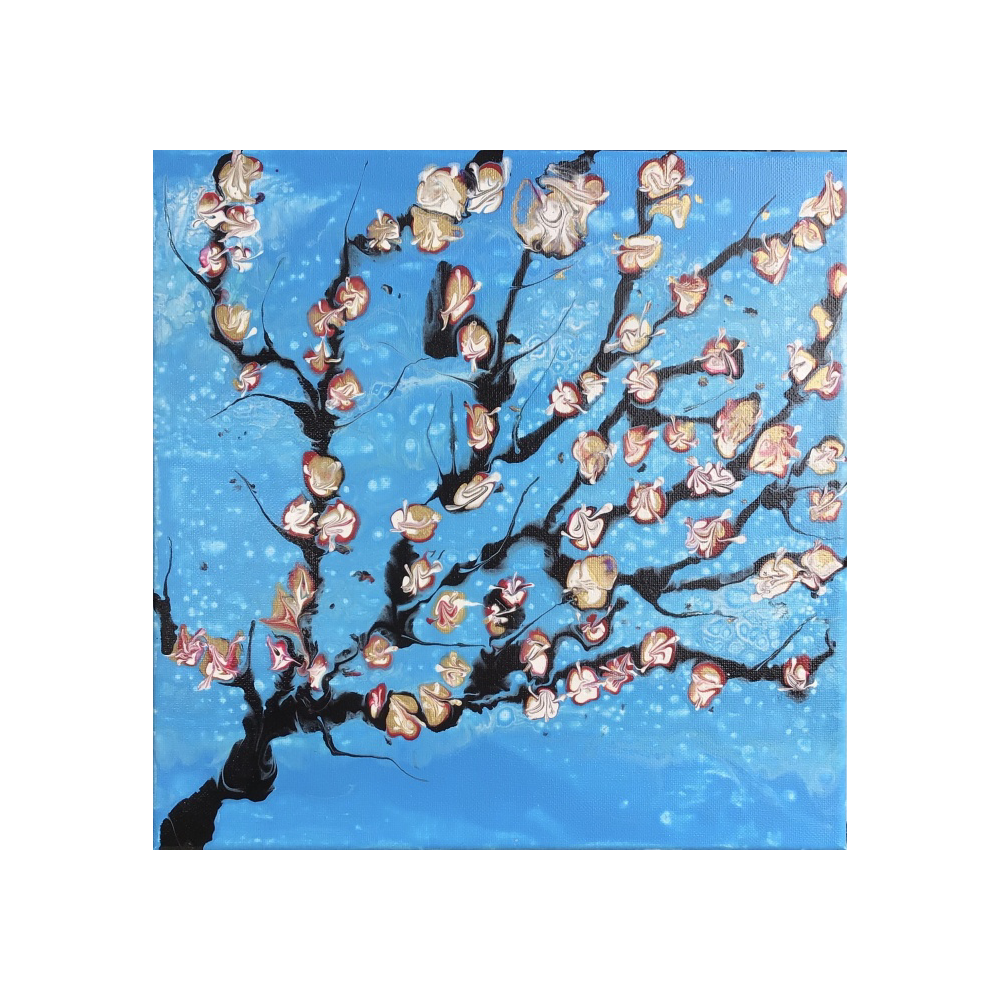 Cherry Blossoms  by Steve McBride