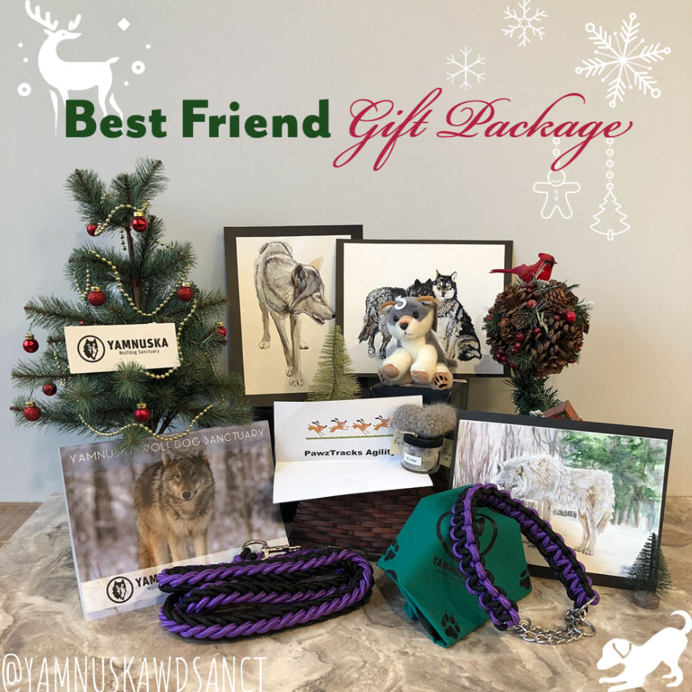 Best Friend Gift Package
