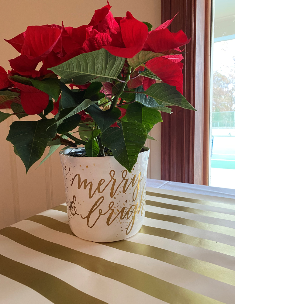 Merry & Bright Pot with Poinsettia