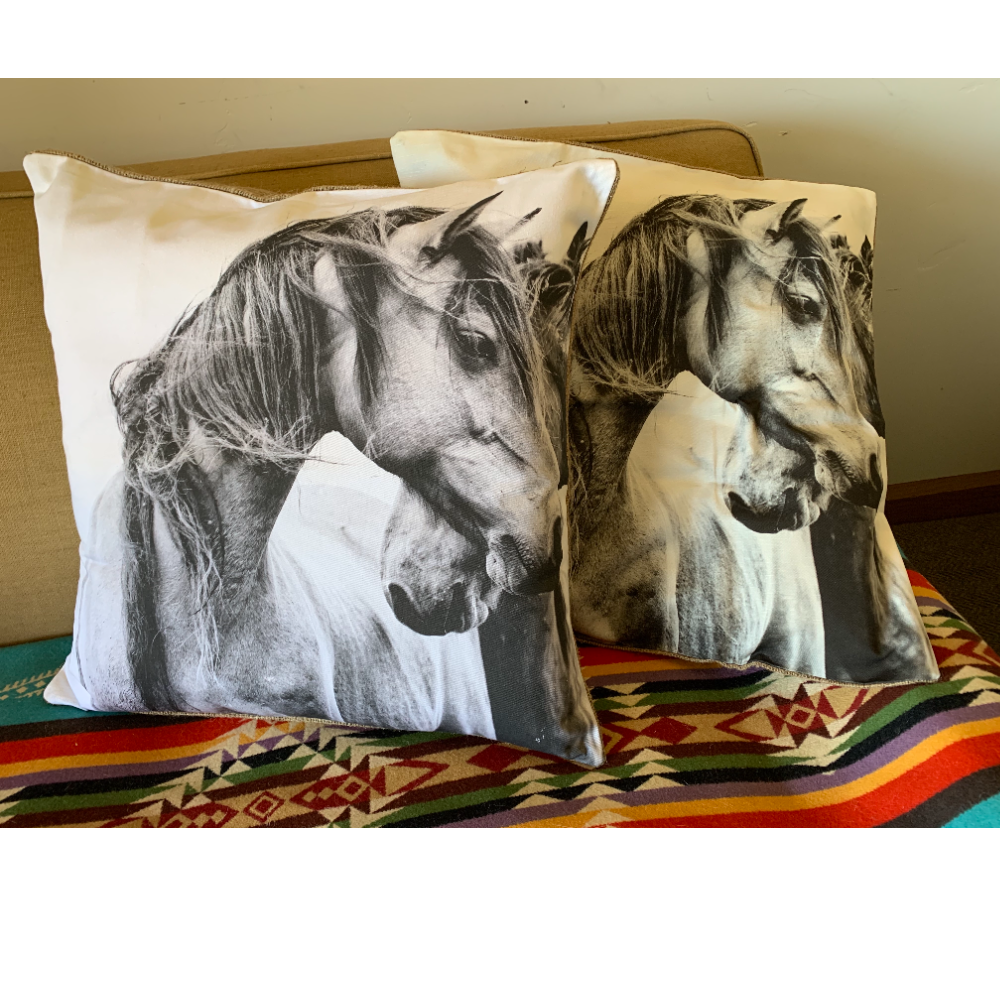 Horseworship Pillow Cover