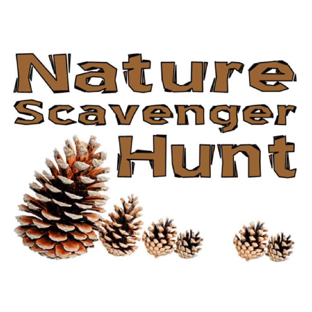 ZOOM: Nature Scavenger Hunt-Buy It Now!! 12 Teams