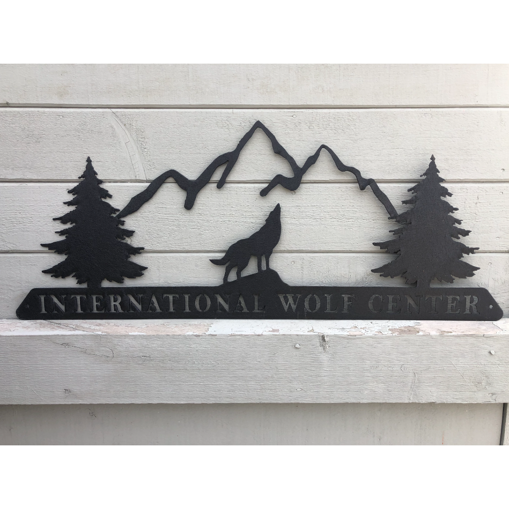 IWC Black Mountain Metal Cutout