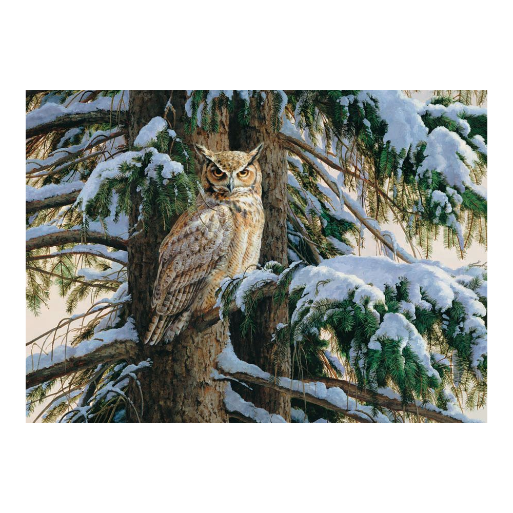 Snowy Perch - Great Horned Owl