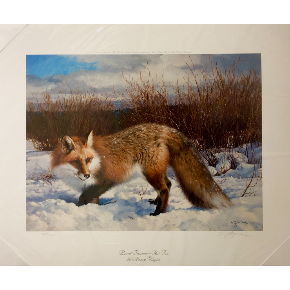Buried Treasure - Red Fox (2)