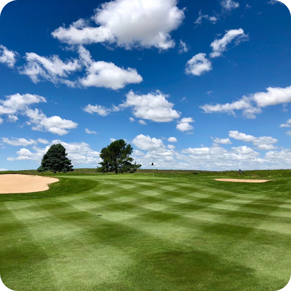 BiddingOwl Kansas Golf Foundation Auction