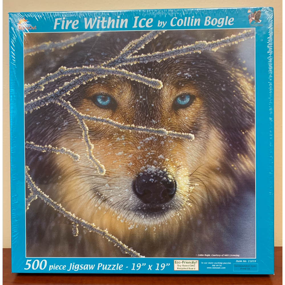 Fire Within Ice Puzzle