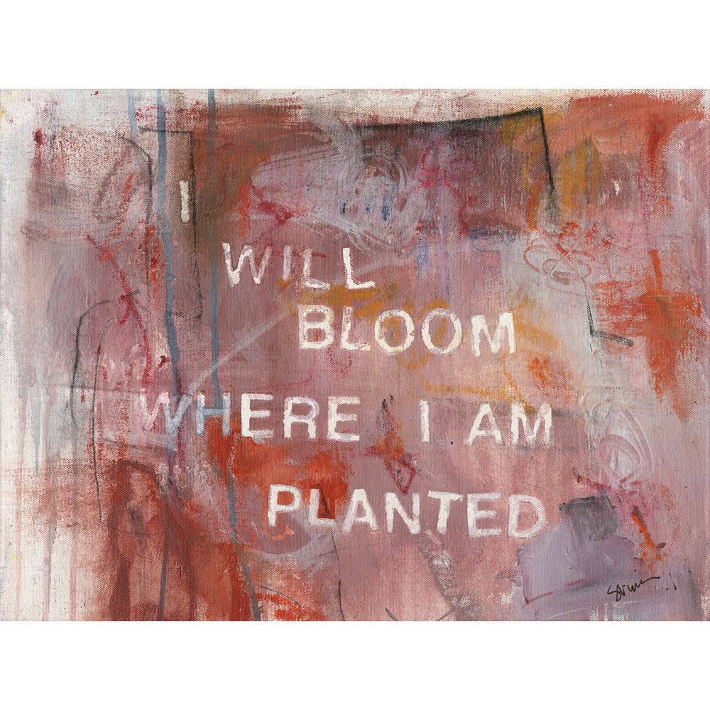 GIVE ME YOUR WORDS  :  I WILL BLOOM WHERE I AM PLANTED