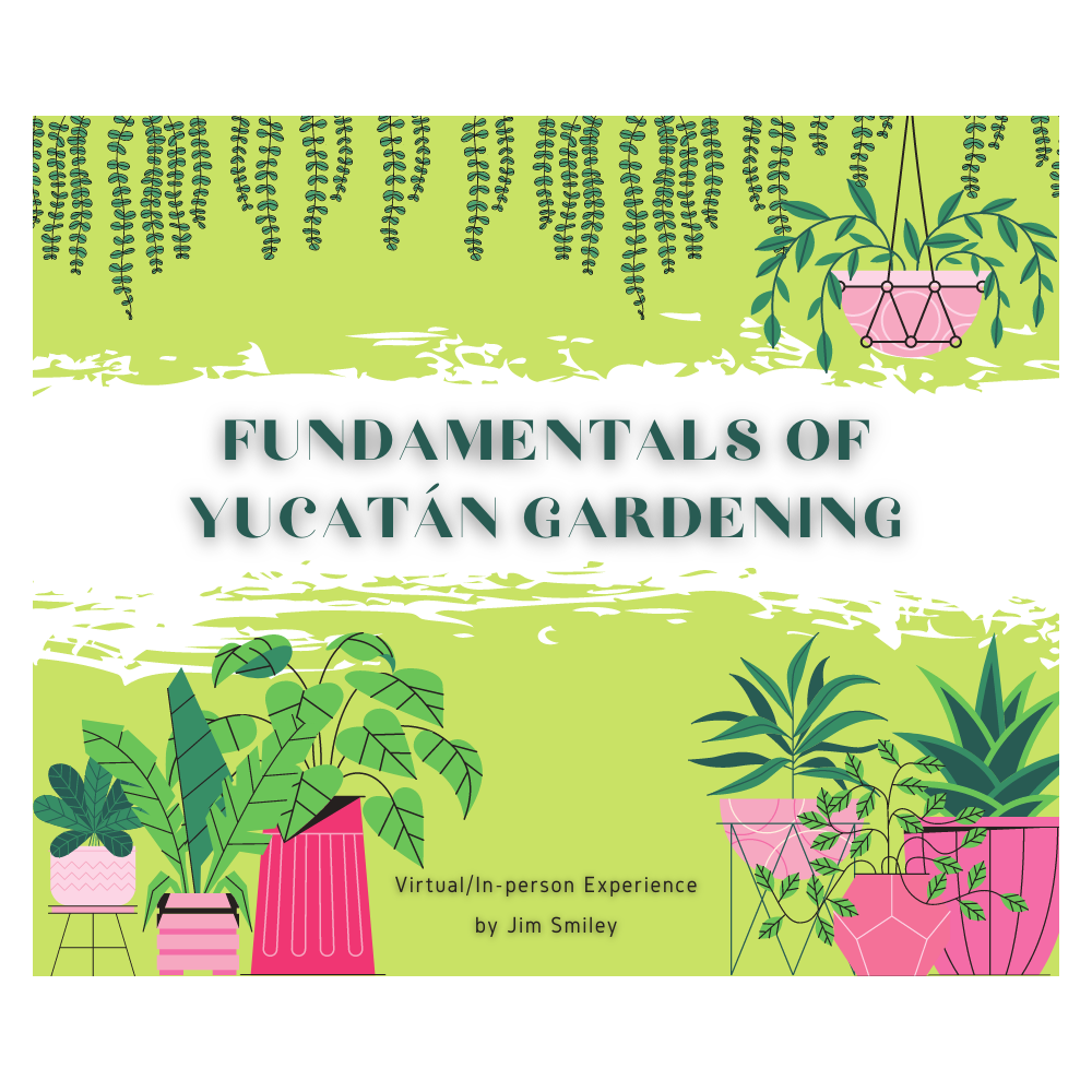 Fundamentals of Yucatán Gardening