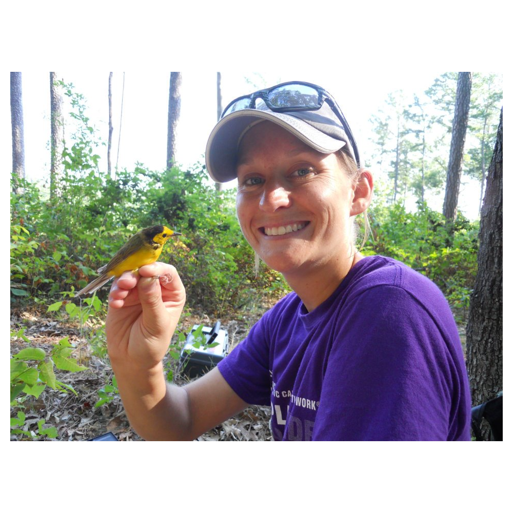 4-hr Guided Bird Walk or Hike with Ornithologist Sarah Kendrick, May 2021