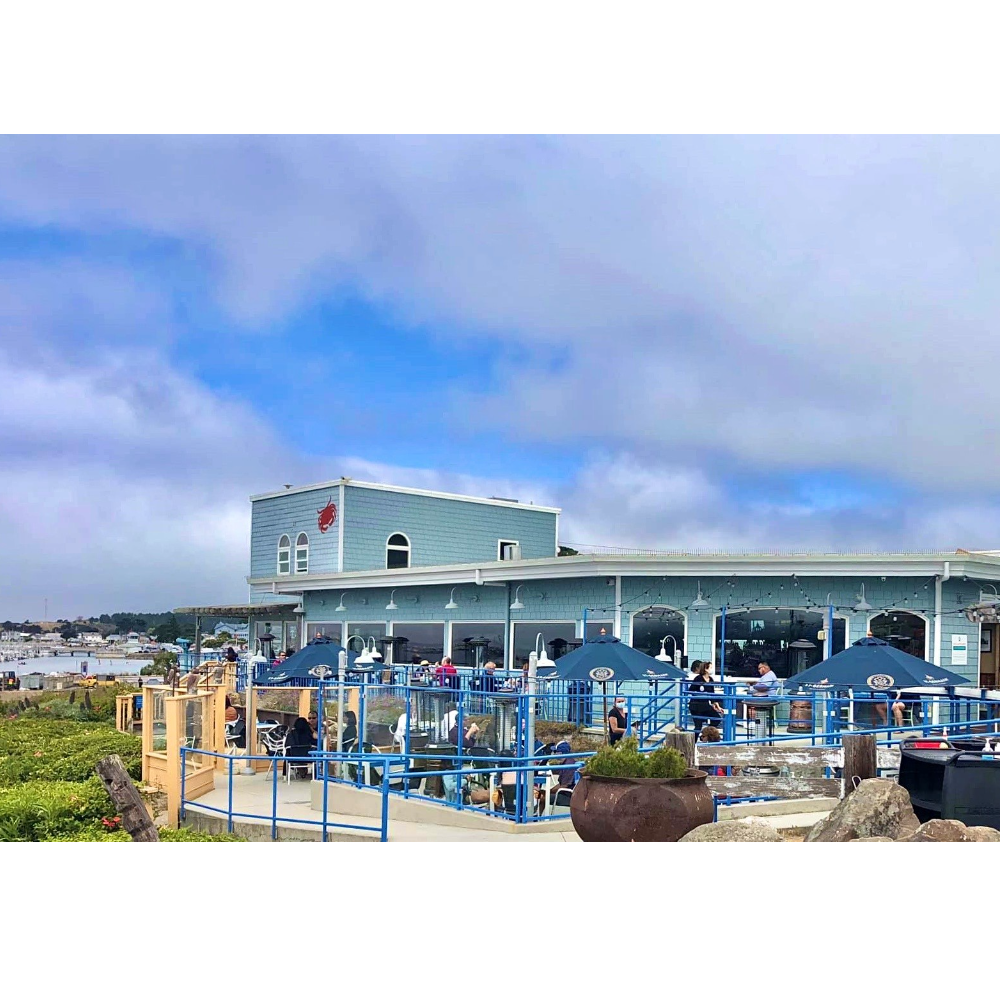 BiddingOwl The HEAL Project Auction