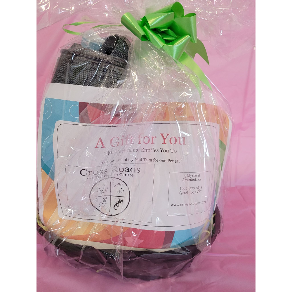 BiddingOwl PEI Humane Society Auction