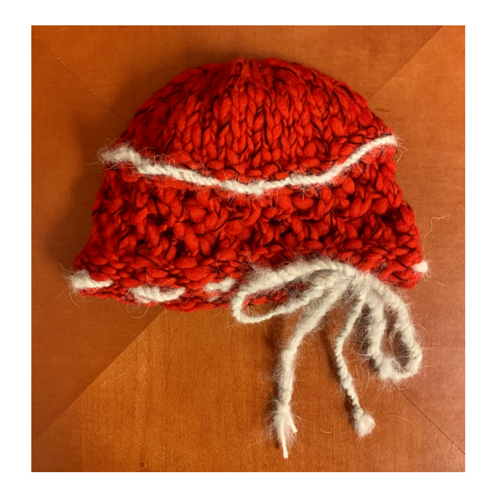 Denali Cloche Hat in Red and Black