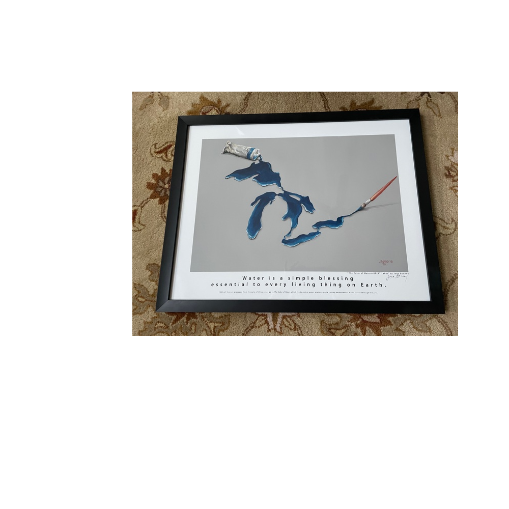 Framed Print of the Great Lakes