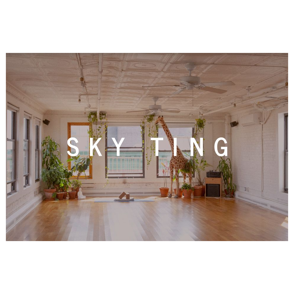 6 month subscription Sky Ting TV from Sky Ting Yoga