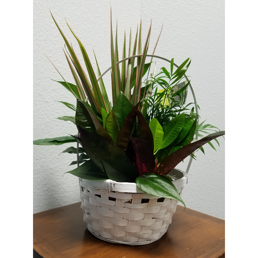 Tropical Plants Basket