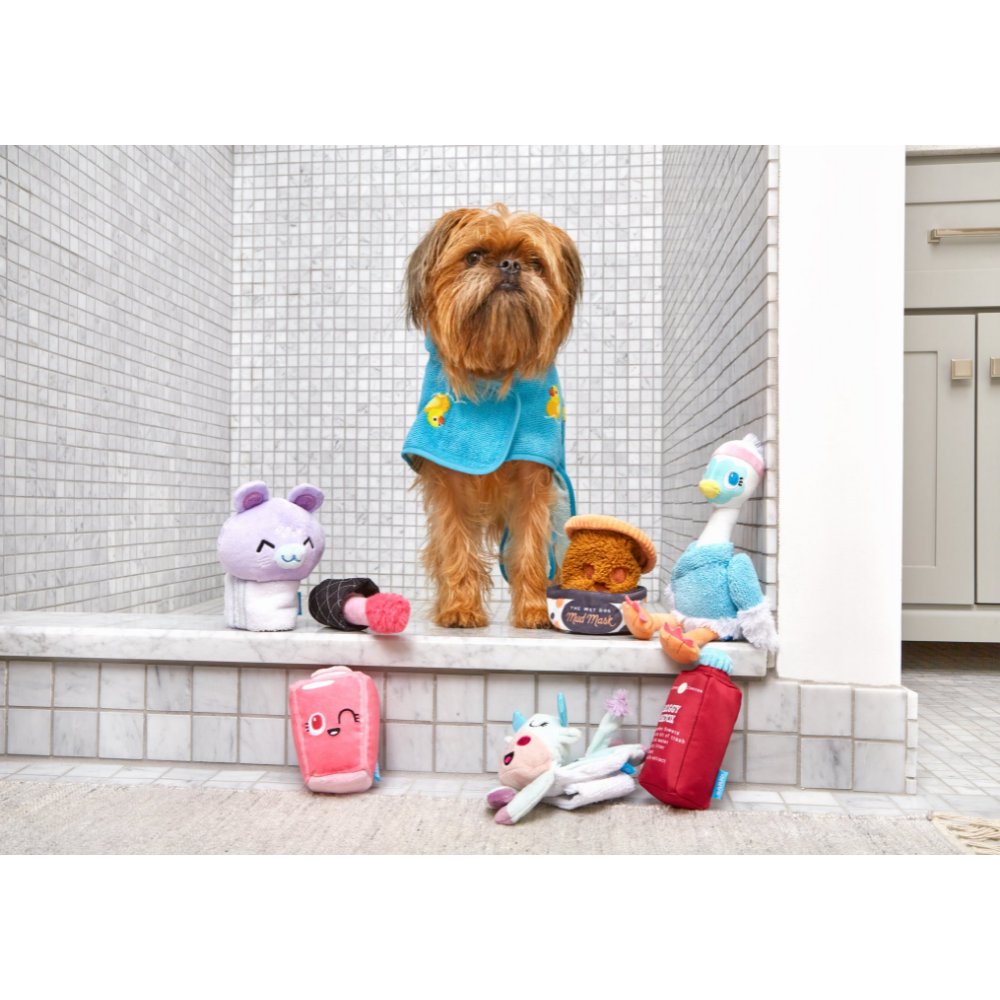 BarkBox themed toys and treats for your pup