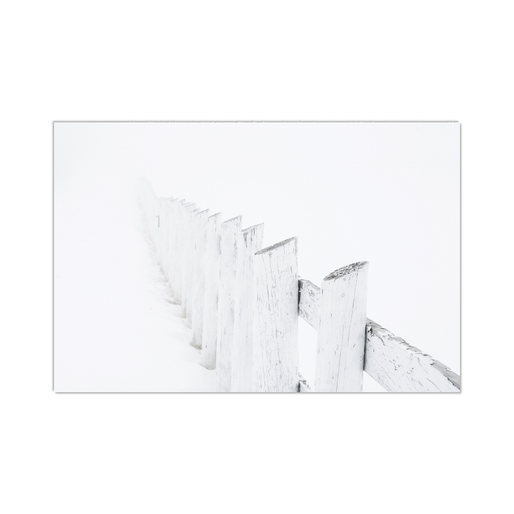 White on Fence (12x16)