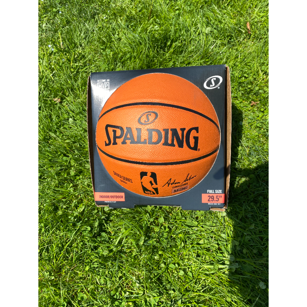 Spalding 29.5" Indoor/outdoor Basketball - Silver Series