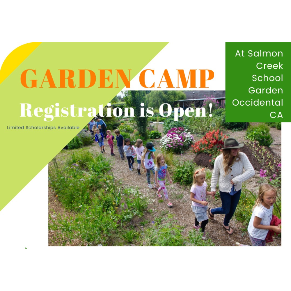 Healthy Roots Garden Camp- Rising 3rd-5th Graders