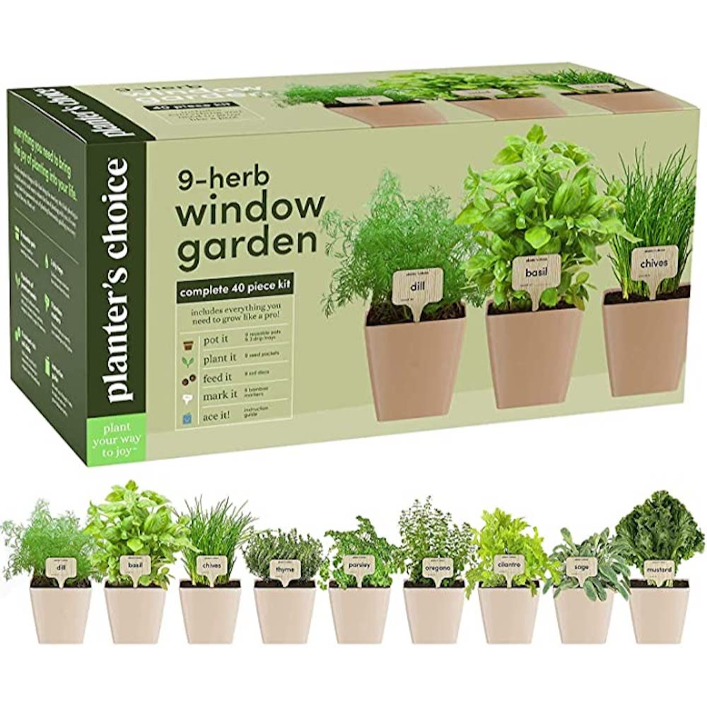 Herb Window Garden - Indoor Herb Starter Kit