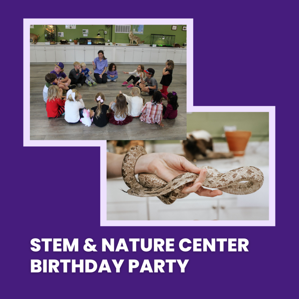 STEM & Nature Center Birthday Party - Package 2