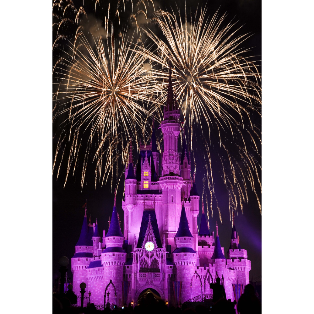 Enchanting Disney World Family Vacation (DS9217-E5) Orlando, Florida