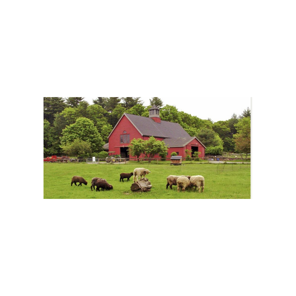 Drumlin Farm ~ Family Pass w/hayride