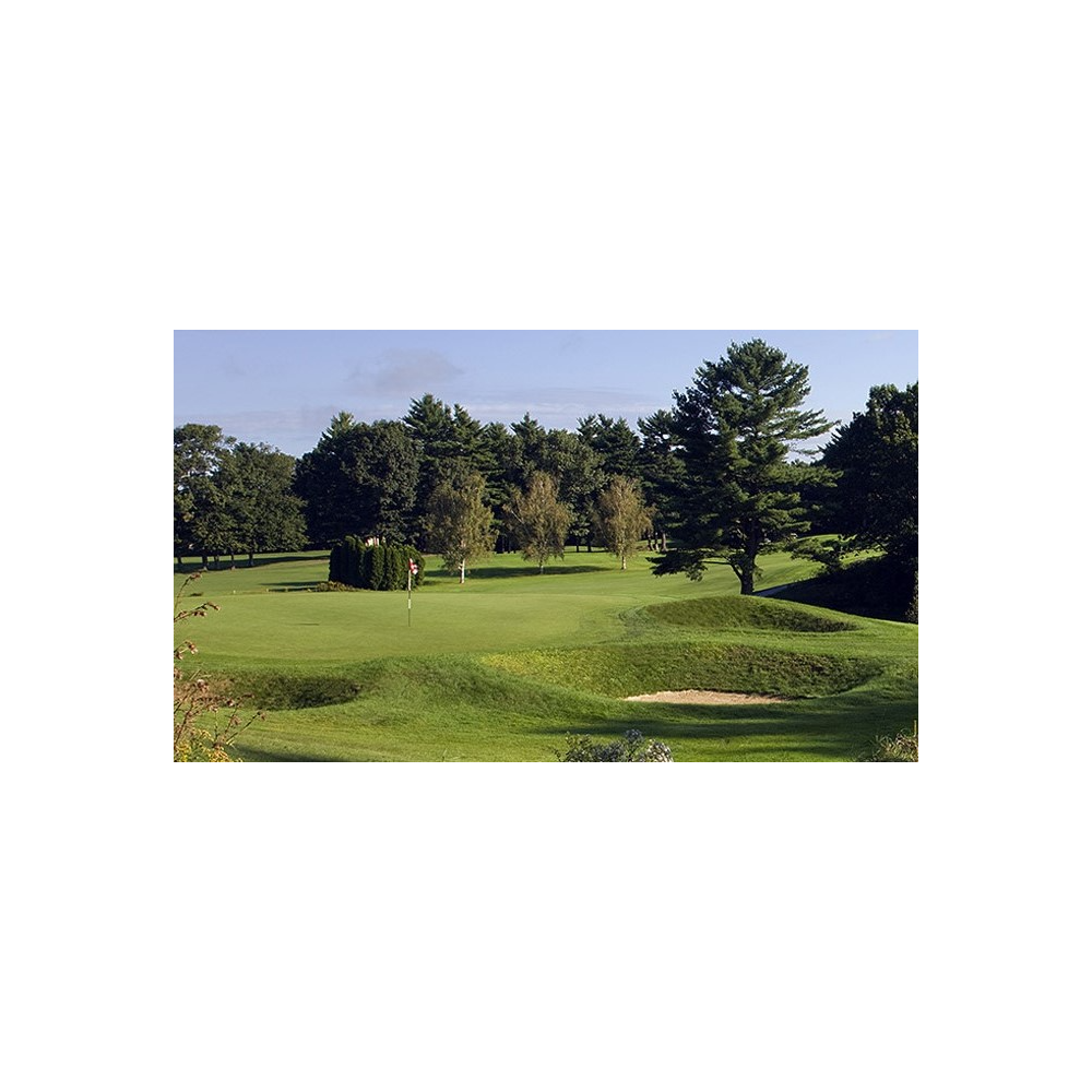 Golf for 4 at Indian Ridge Country Club