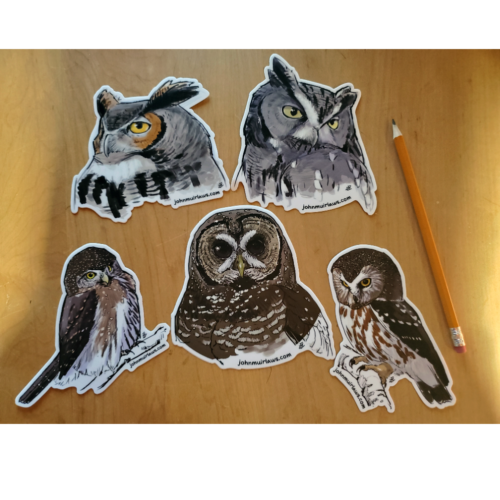 Owl Stickers by John Muir Laws