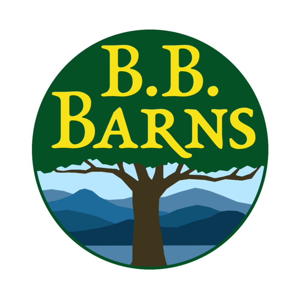 B.B. Barnes Gift Card for $100