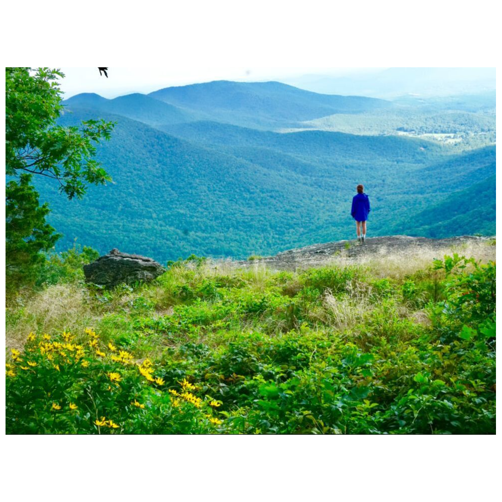 Mindfulness Day Hike for Two with Wilderness Connection