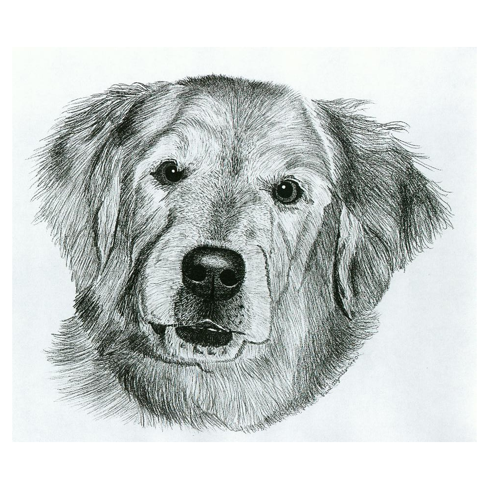 Custom Dog Drawing by Paul Atzmiller & Monica Rich Kosann 