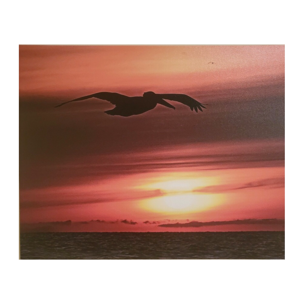 “Pelican Sunrise” by Brian Lockwood, 20”x16”
