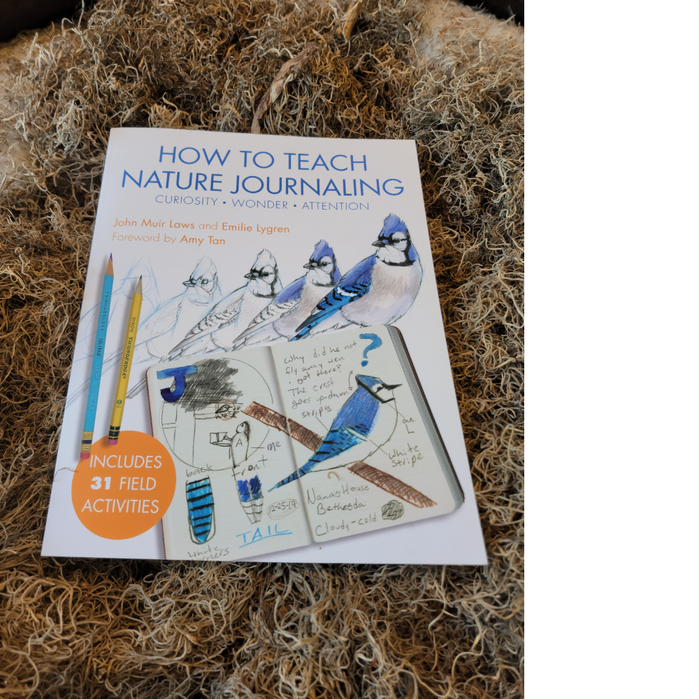 How to teach Nature Journaling Book  
