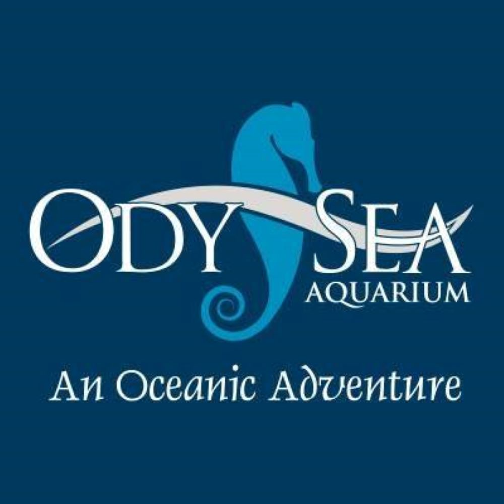 4 Tickets to OdySea Aquarium