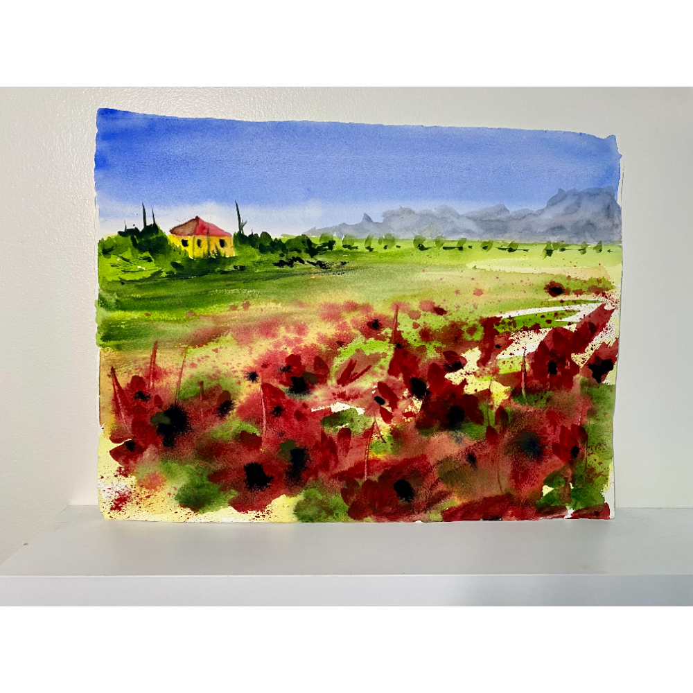 Countryside Poppies 