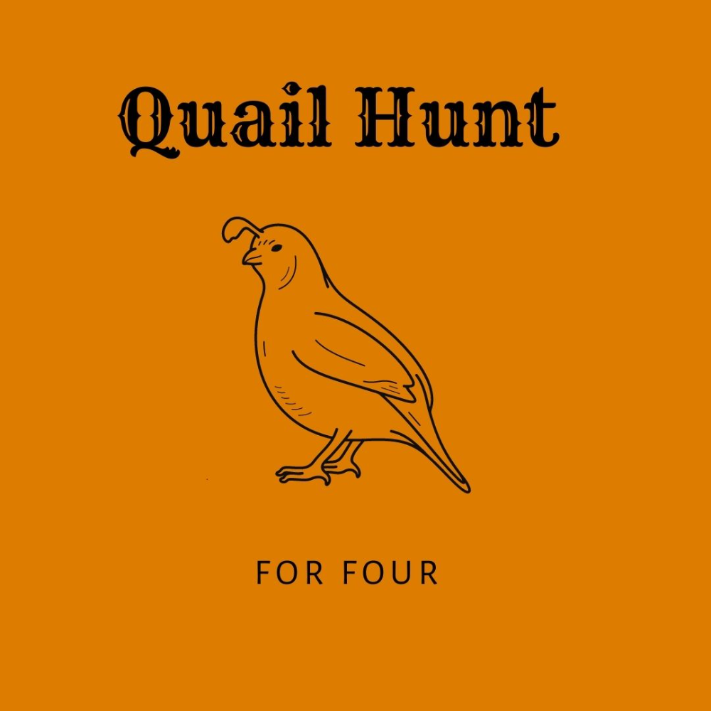 Quail Hunt