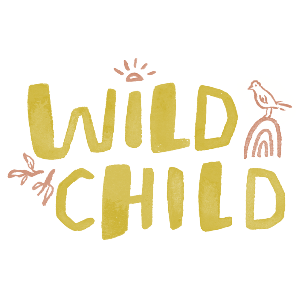 $100 Gift Card for "Wild Child Gym"