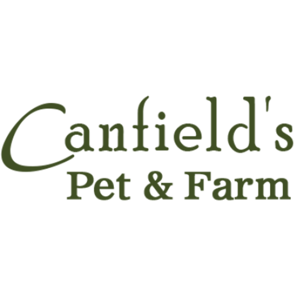 Canfield's & Car Care