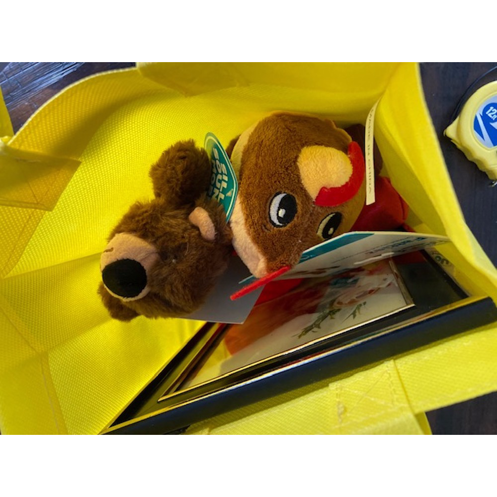 Tote Bag of Toys