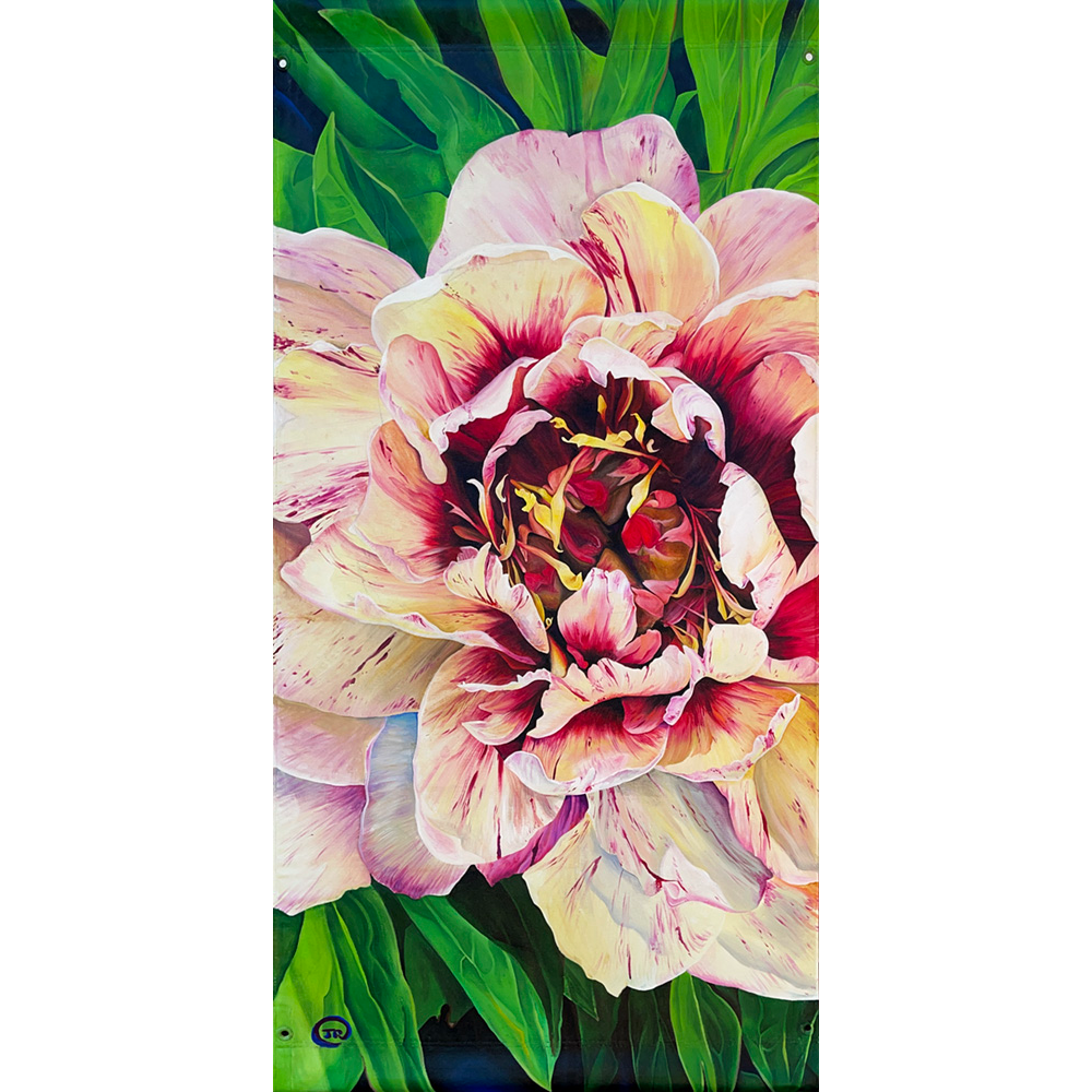 First Place: Peony