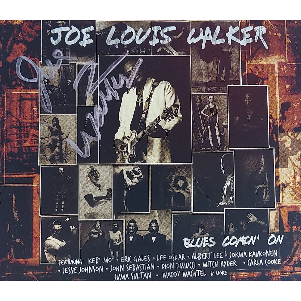 Joe Louis Walker:  Blues Comin' On
