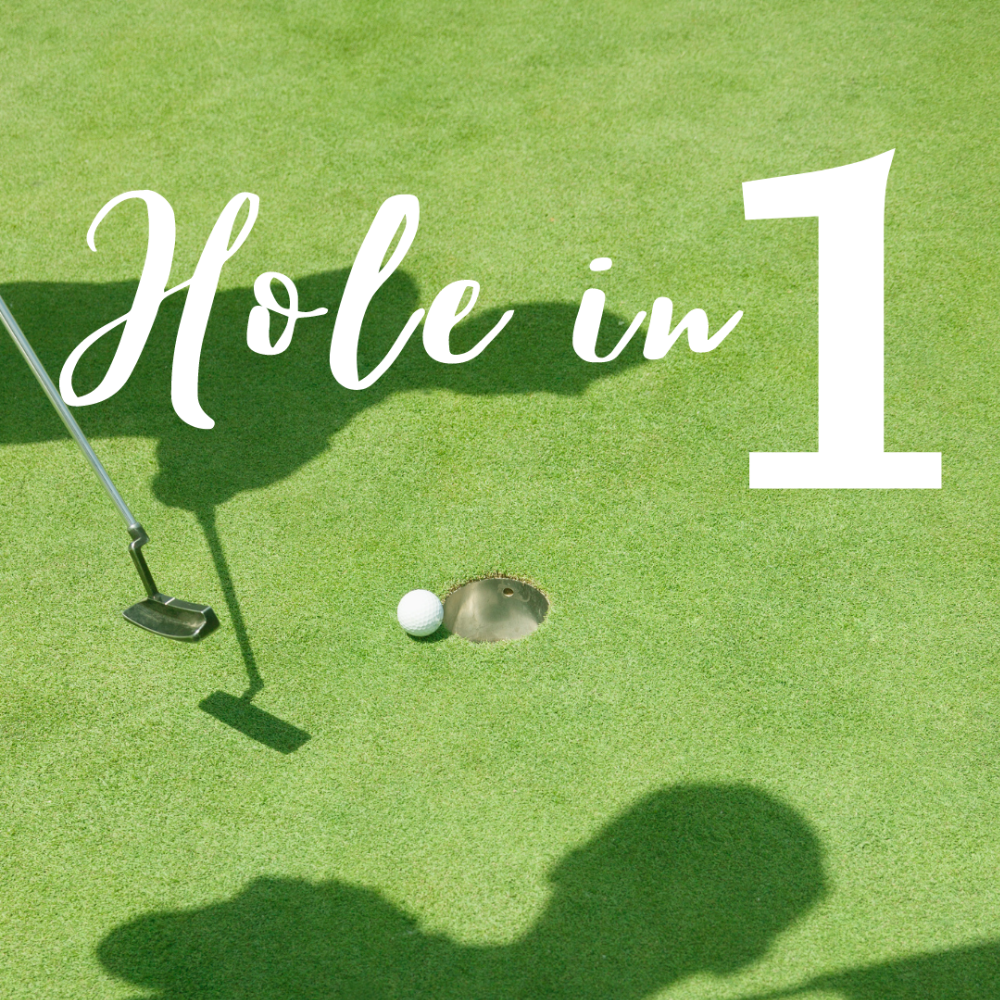 Hole in 1