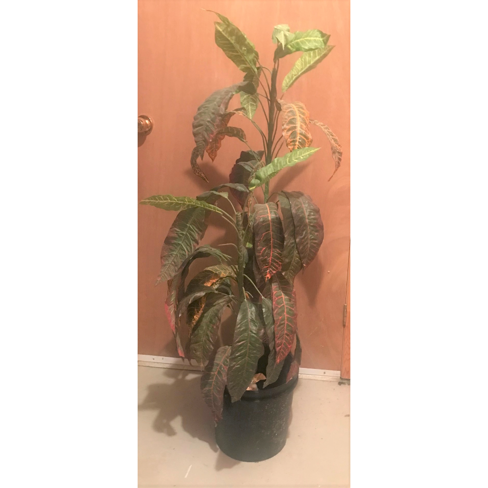 Artificial Plant 4 ft tall with Pail