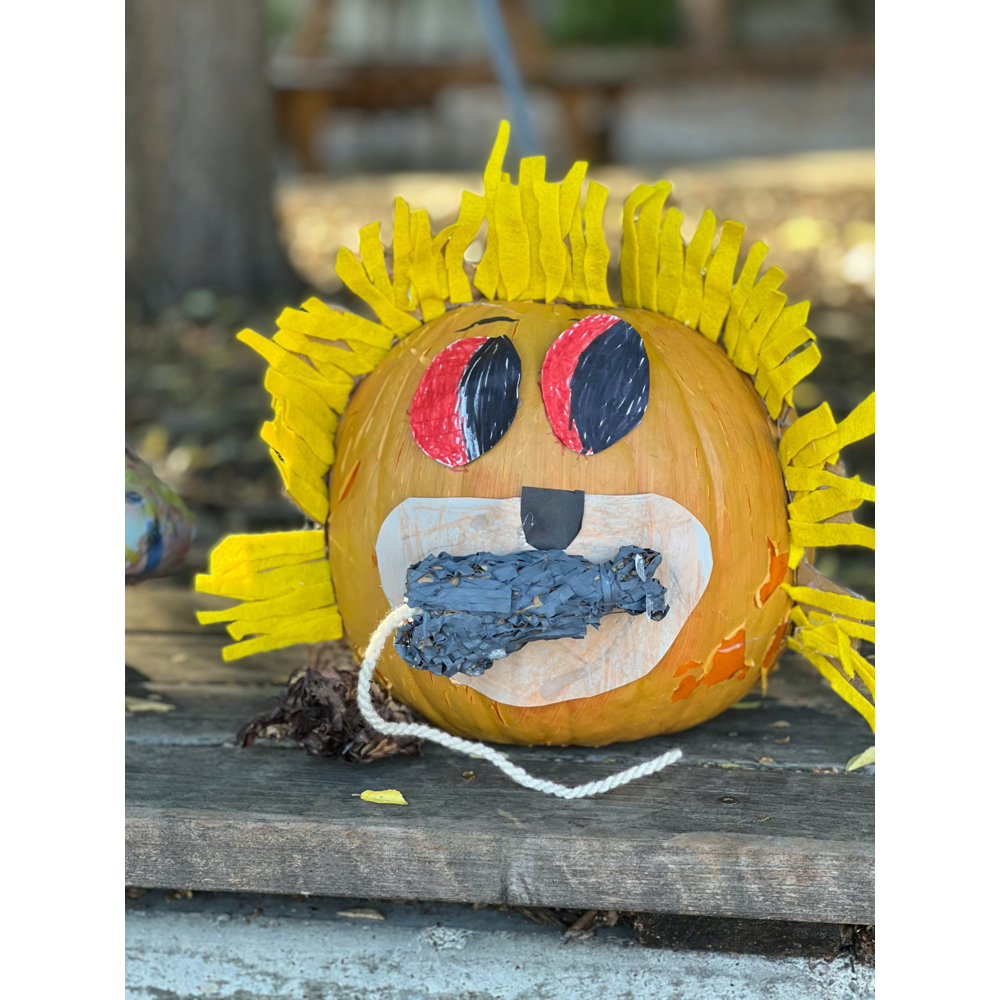Pumpkin - Grade 2V "Leo the Lion"