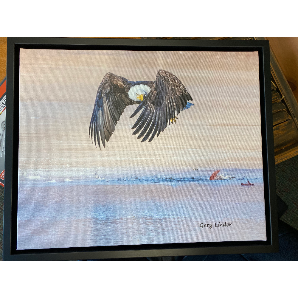Eagle on Canvas