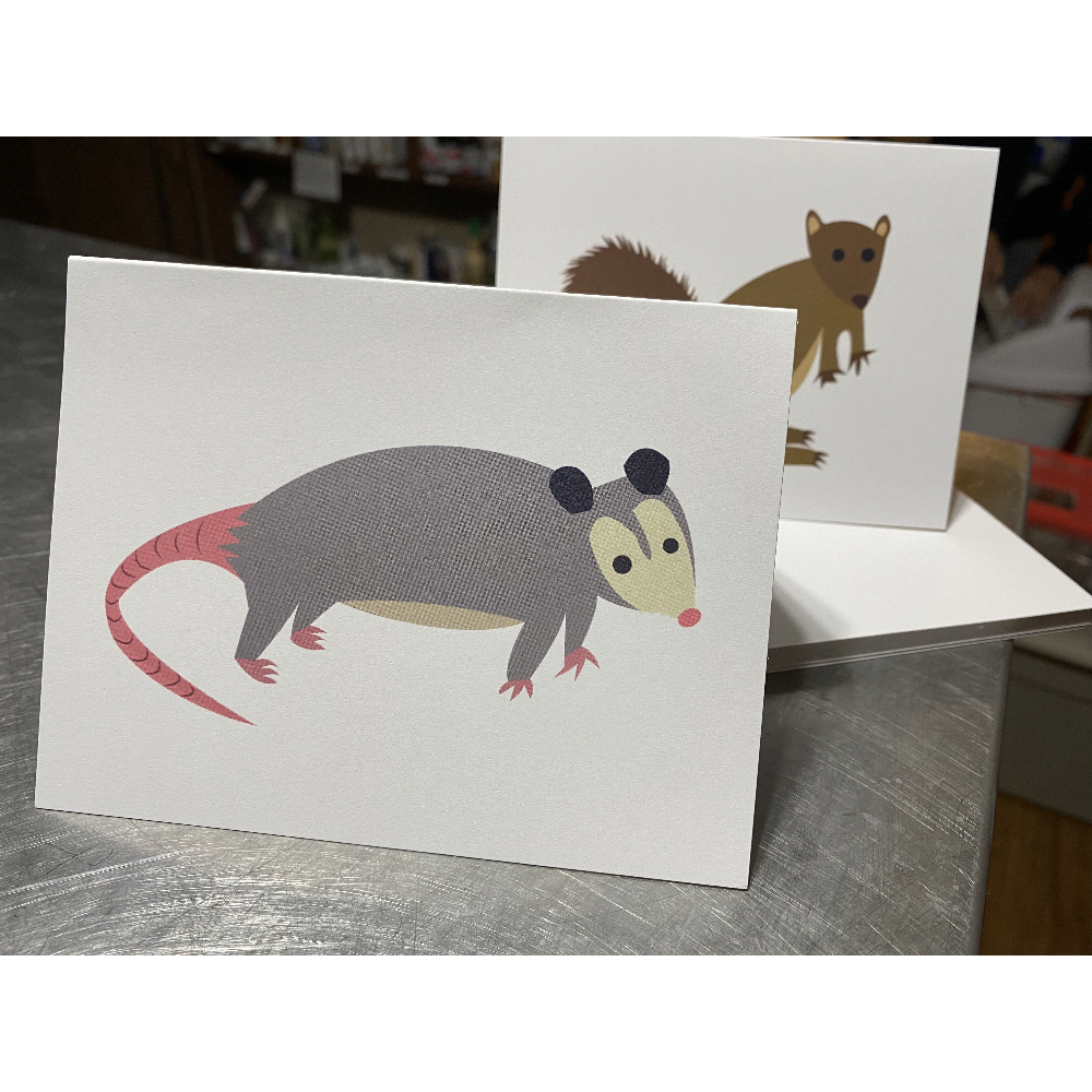 Opossum and Squirrel Notecards 