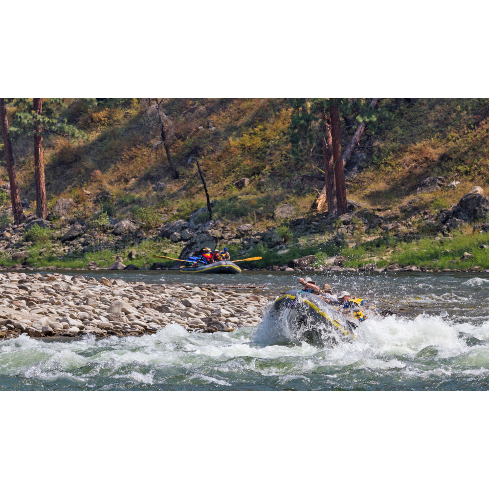 Please read description carefully!!! 5 day Main Salmon River trip with Confluences River Expeditions- THIS IS A BUY 1 GET 1 FREE